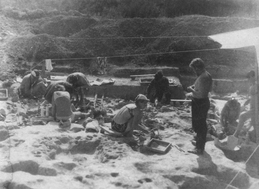 Раскопки 2-го жилого комплекса I слоя стоянки Костенки 1 в 1986 году. Руководитель раскопок Н.Д. Праслов