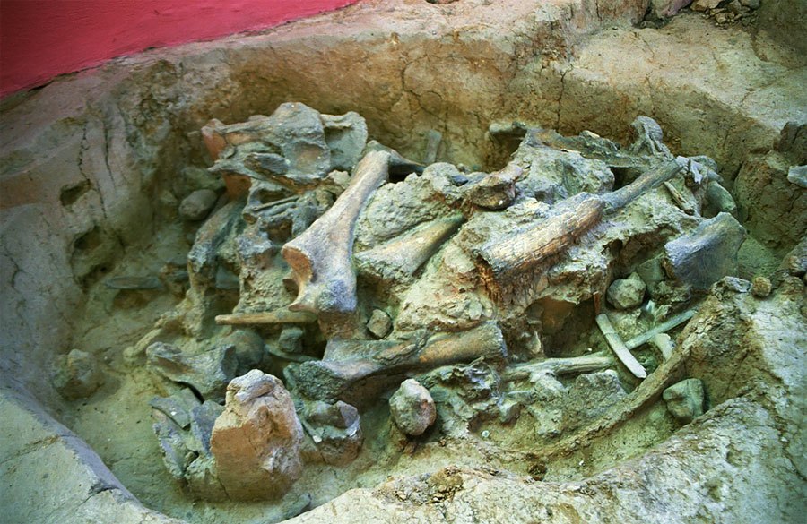 Яма-кладовая, заполненная костями мамонта