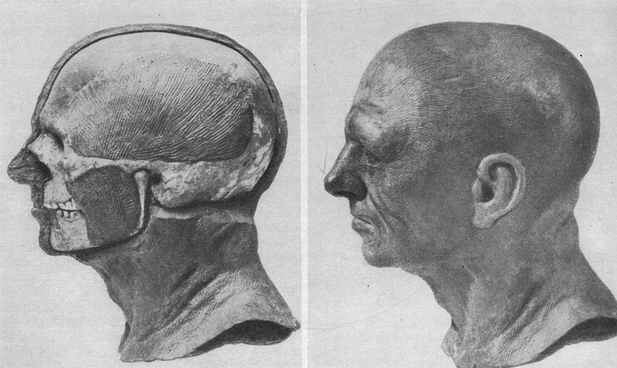 Этапы реконструкции М.М. Герасимовым облика Homo sapiens из погребения стоянки Костенки 2